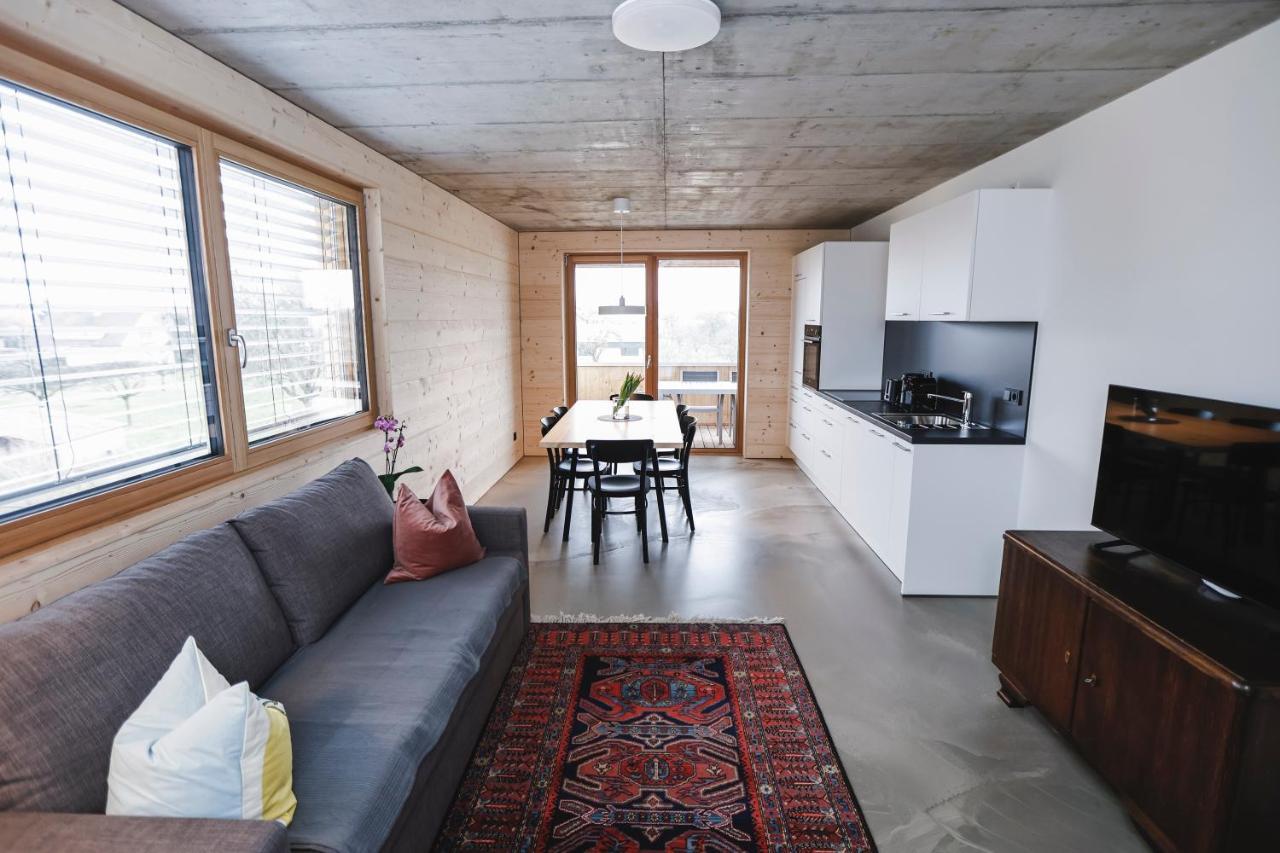 Boutique Apartments Lustenau Nachhaltige Kuehlung Ueber Erdsonde Und Fussbodenkuehlung Exteriér fotografie